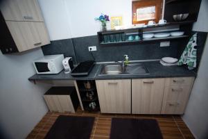 Kuchyň nebo kuchyňský kout v ubytování AG Apartment Gabčíkovo