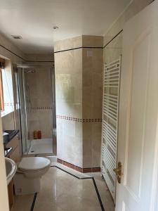 a bathroom with a toilet and a shower at Maywoods Apartment in Virginia Water
