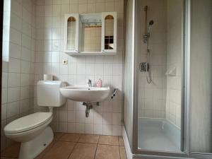 a bathroom with a toilet and a sink and a shower at Feistritzer in Seeboden