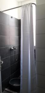 a bathroom with a shower curtain and a toilet at Joy Summer Apartment in Skataj +60 photos