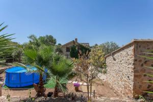 Un jardín con una palmera y un cobertizo azul. en VILLA TAMARIT, en Pedralba 36 fotos más