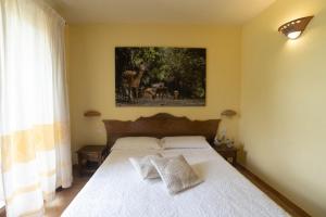 een slaapkamer met een bed met een foto aan de muur bij Parco Donnortei in Fonni