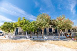 un groupe d'arbres devant une maison dans l'établissement Zante Riva Studios, à Lithakia