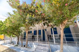 una fila di alberi di fronte a un edificio di Zante Riva Studios a Lithakia