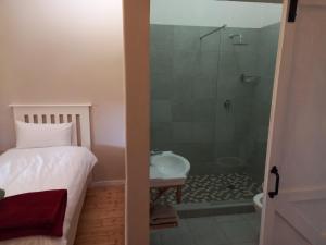 bagno con doccia, letto e lavandino di The Border Post, Bed and Breakfast a Bergville Altre 37 foto
