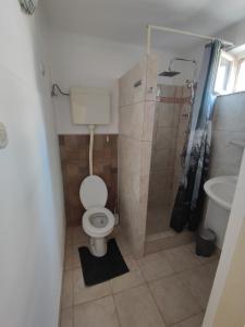 a small bathroom with a toilet and a shower at Apartman Selce in Selce
