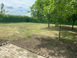 einen Hof mit zwei Bäumen und einem Zaun in der Unterkunft LUX apartmani za izdavanje in Bečej