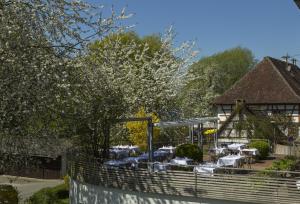 Zahrada ubytování Pilgerhof und Rebmannshof