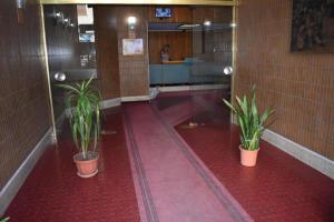 un corridoio con due piante in vaso in un edificio di Framamired a Palermo