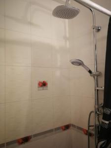 a shower with a shower head in a bathroom at Proche du centre ville in La Rochelle