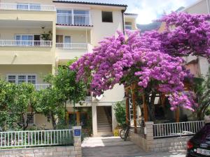 Zahrada ubytování Apartment Letica