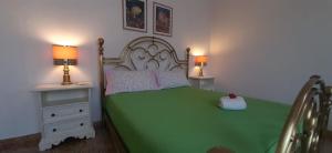 a bedroom with a green bed with two night stands at Sa Prenda E Oro in Ulà Tirso