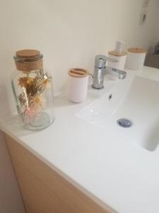 ein Waschbecken im Bad mit einem Glasgefäß mit Blumen in der Unterkunft Chambre avec salle de bain privative à 10 minutes du circuit des 24H du MANS in Étival-lès-Le Mans