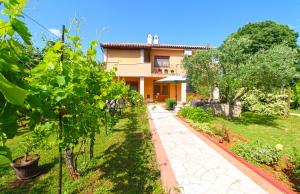 Zahrada ubytování Apartment Mirjana 1906