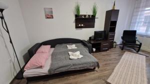 Perfect located flat with gametable 1092 Budapest, 32 Ráday utca kép - 2