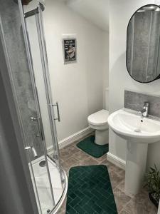 a bathroom with a shower and a sink and a toilet at Wee Toad Hole Heart of Kendal - Cottage sleeps 4-6 - Dogs Welcome in Kendal