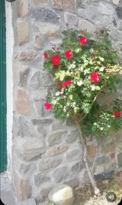 una planta con flores rojas y blancas en una pared de piedra en la casa nel bosco, en Mulazzo