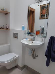 La salle de bains est pourvue d'un lavabo, de toilettes et d'un miroir. dans l'établissement Brīvdienu namiņš, à Saulkrasti