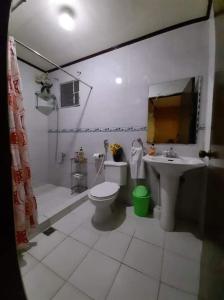 uma casa de banho com um WC e um lavatório em CARRIBEAN1 TRANSIENT HOUSE em Lucap