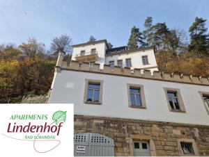 a house on the top of a building at Villa Caggiati in Bad Schandau
