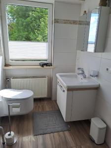 a bathroom with a sink and a toilet and a window at Ferienwohnung Am Schloss in Untermerzbach