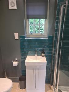 uma casa de banho com um lavatório, um chuveiro e um WC. em Dragonfly cottage em Christchurch