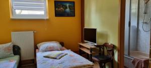a bedroom with a bed and a desk with a television at Wasserskianlage Eilenburg in Eilenburg