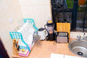 a kitchen counter with a blender and a sink at Mella home Arusha in Marombosa