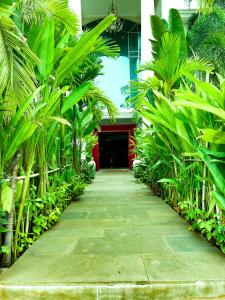 a hallway in a building with green plants at Memoire d' Angkor Boutique Hotel in Siem Reap