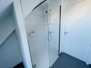 Ένα μπάνιο στο Appartement lumineux et spacieux, terrasse et parking privé +5 φωτογραφίες