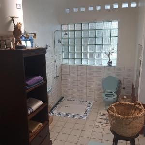 een badkamer met een douche en een blauw toilet bij Les Alizés in Diego Suarez