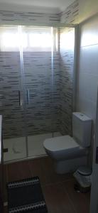 a bathroom with a toilet and a glass shower at Apartamentos M° Esther in A Lanzada