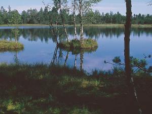 un lago con dos islas en el medio en Haus Mühlgrund, en Bad Wildbad