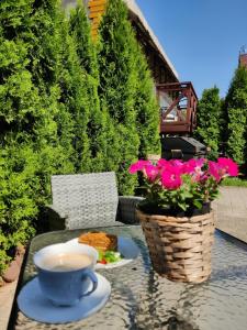 Fotografie z fotogalerie ubytování Brīvdienu Māja AMRAI v destinaci Ventspils