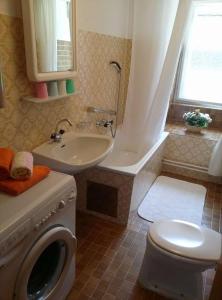 a bathroom with a toilet and a sink and a washing machine at Steinadler Apartments Quiet Location Garden, Private Parking Pet Friendly in Murau +90 photos
