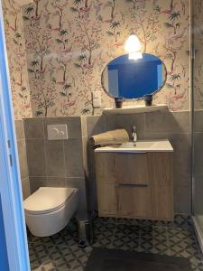 Masevaux的住宿－Hostellerie Alsacienne，一间带卫生间、水槽和镜子的浴室