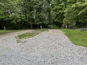 a dog walking down a gravel road in a park at Prairie House RV Spaces in Deerfield +8 photos