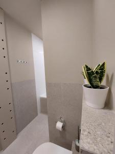 uma casa de banho com WC e uma planta num balcão em Two bedrooms, close to the center, fully equipped! em Cracóvia