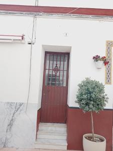 uma porta vermelha num edifício branco com um vaso de plantas em Apartamento El Colmao em Chipiona