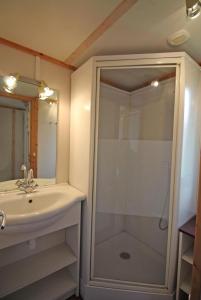 y baño con ducha, lavamanos y ducha. en Coquadou, en Verneuil-sur-Vienne