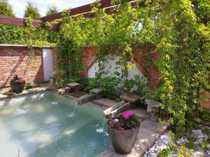 a swimming pool in a yard with plants and flowers at Noclegi Szymrych in Chełmsko Śląskie