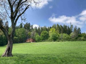 a tree in a field with a barn in the background at Tiny Paradis in Vielsalm