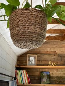 a potted plant hanging from a ceiling in a library at Tiny Paradis in Vielsalm