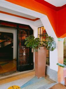 Billede fra billedgalleriet på Mataman Gardens i Naivasha