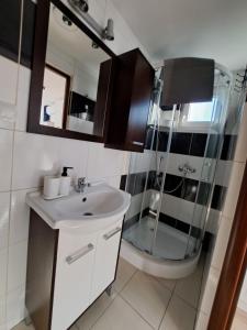 a bathroom with a sink and a shower at DOMKI KAJUTA in Żarnowska