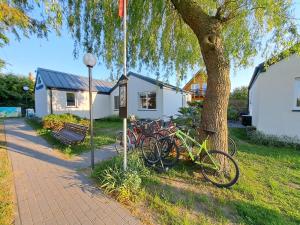 een groep fietsen geparkeerd naast een boom bij DOMKI KAJUTA in Żarnowska