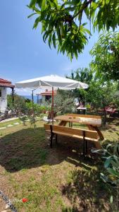 a picnic table with an umbrella in a field at Katerina Fotopoulos Rooms & Apartments - Papanero com in Agios Ioannis Pelio