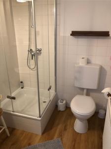 een badkamer met een douche, een toilet en een bad bij Fachwerkhaus Hartmann in Bad Münder am Deister