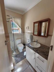 ein Badezimmer mit einem WC, einem Waschbecken und einem Spiegel in der Unterkunft 2 bedroom cottage with Sandton skyline vista in Johannesburg