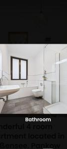 a bathroom with a shower and a sink and a toilet at Helenas place in Berlin